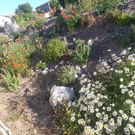 Apartamento Moderne Avec Wifi Et Parking A - Fr-1-653-270 Baignes-Sainte-Radegonde