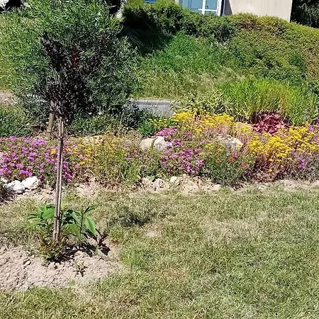 Moderne Avec Wifi Et Parking A - Fr-1-653-270 *