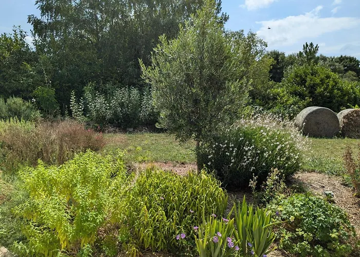 Moderne Avec Wifi Et Parking A - Fr-1-653-270 Baignes-Sainte-Radegonde