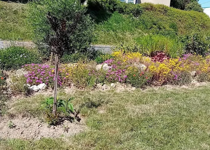 Moderne Avec Wifi Et Parking A - Fr-1-653-270 *